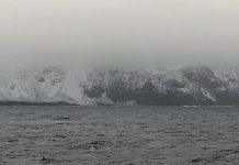 Of Far Off Island Lees and the Lies of the Land