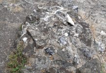 The Grave Visitor: A Poem