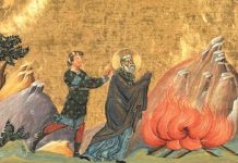 Polycarp’s Late and Early Witness