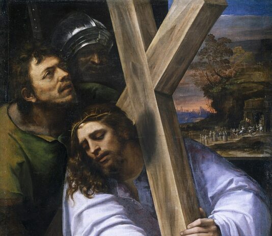 Thirteenth Sunday: Accipe Crucem Tuam!