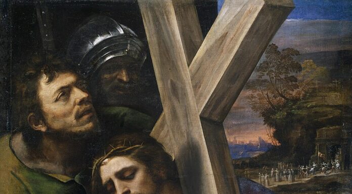 Thirteenth Sunday: Accipe Crucem Tuam!