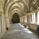 All the Myriads Upon Myriads of Saints