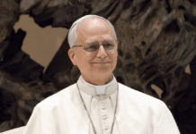 An American Professorās Reaction to the Election of an American Pope