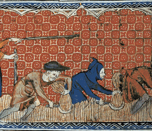 Que Sera, Sera Serfdom: Mark Carney and Collapse by Design