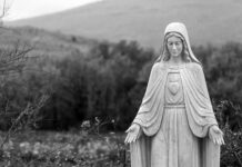 Mary’s Immaculate and Maternal Heart