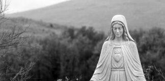 Mary’s Immaculate and Maternal Heart