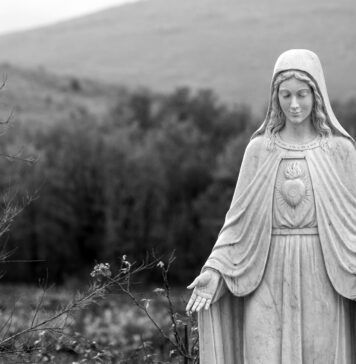 Mary’s Immaculate and Maternal Heart