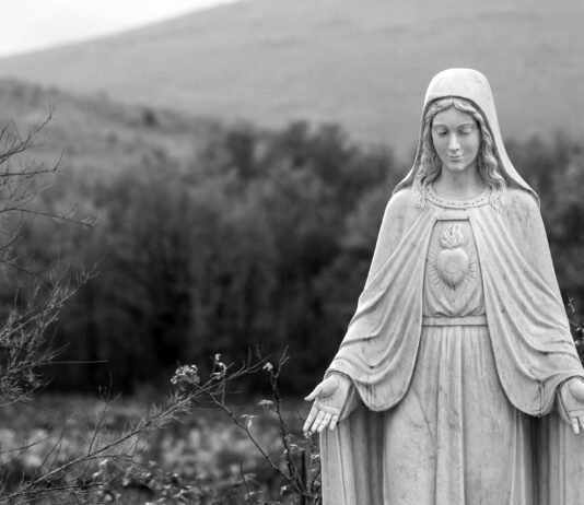 Mary’s Immaculate and Maternal Heart