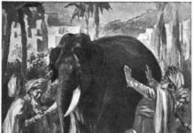 Transgender In-sanity