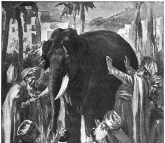 Transgender In-sanity