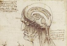 AI: Friend or Foe, Servant or Master?