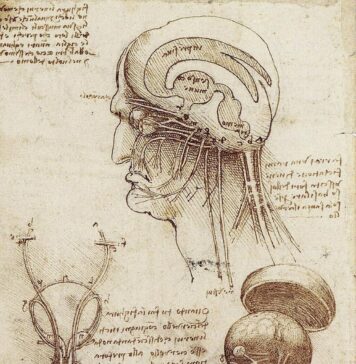 Artificial Intelligence: Friend or Foe, Servant or Master?