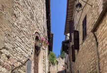 The Profound Peace of Assisi