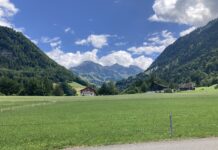 Swtizerland and Frauenthal