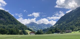 Swtizerland and Frauenthal