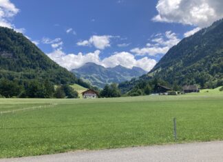 Swtizerland and Frauenthal