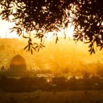 Genocide in Palestine? – Another Dark Chapter in Mankind’s History