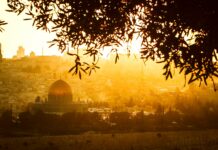 Genocide in Palestine? – Another Dark Chapter in Mankind’s History