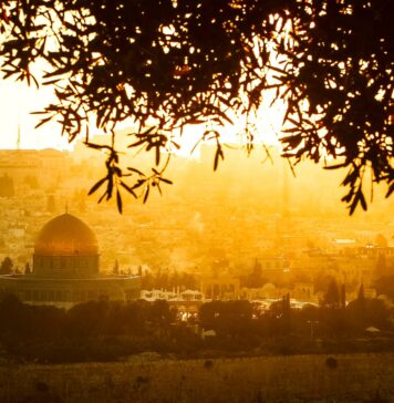 Genocide in Palestine? – Another Dark Chapter in Mankind’s History