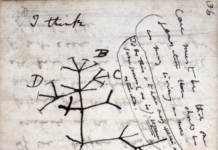 Apologetics 101, Question 8: Potency and Evolution