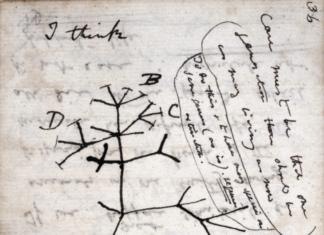 Apologetics 101, Question 8: Potency and Evolution