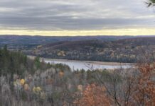 Whose Land Is It, After All?