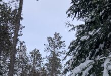 In the Bleak Midwinter, Gaudete Christus Natus Est