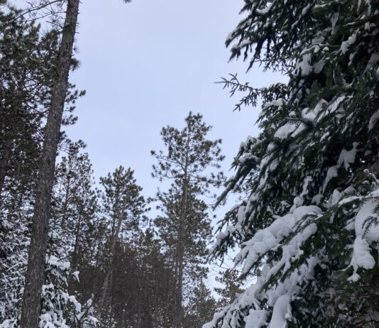 In the Bleak Midwinter, Gaudete Christus Natus Est