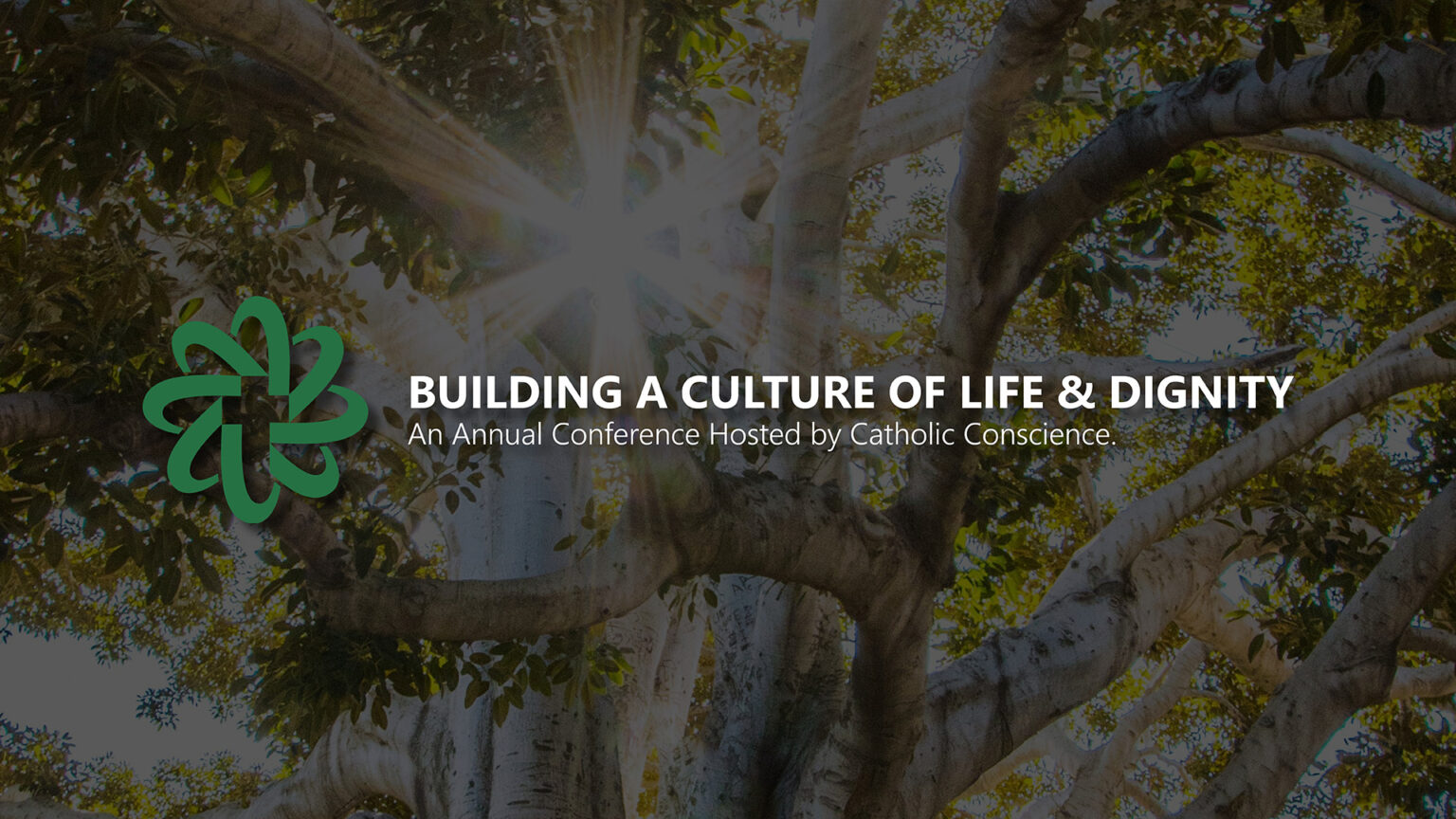 CLD26 Restoring the Covenant: CST as Common Social Ground - Catholic ...
