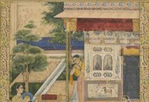 The Scary Harem of IVF