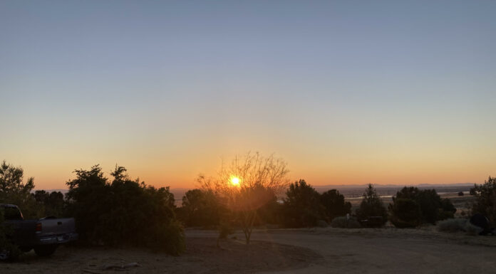 Cultivating Hope in Darkness