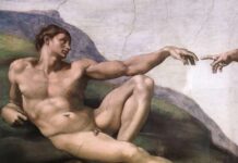 A Brief Meditation on Man’s Magnificence