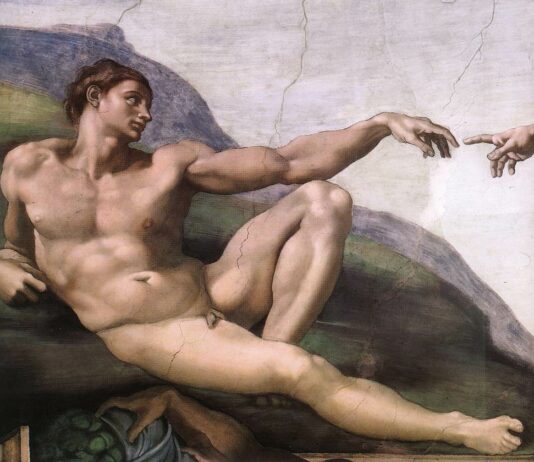 A Brief Meditation on Man’s Magnificence