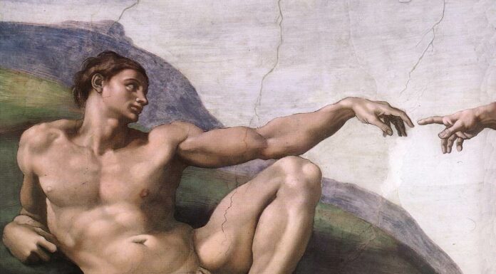 A Brief Meditation on Man’s Magnificence