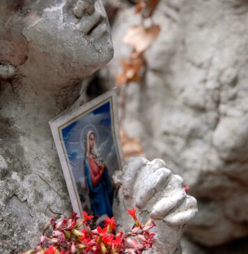 Beauty and the Assumption