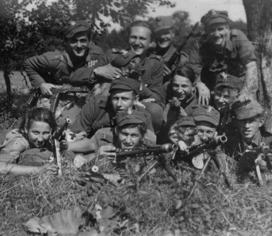 Danuta Siedzik: A Polish National Heroine and a Model of Courage