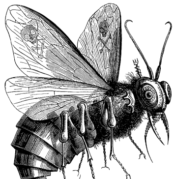 Bees from Beelzebub