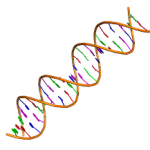 DNA and the Code of Life