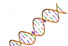 S.A.D.S, Bieber and the Pope