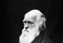 Darwin’s Sad Legacy