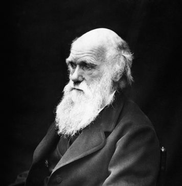 Darwin’s Sad Legacy