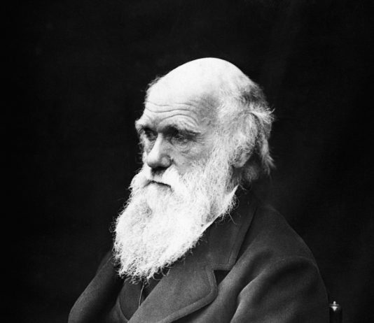 Darwin’s Sad Legacy
