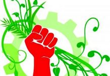 The Roots of Eco-Socialism