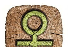 The Fading of the Feminist Fad