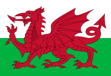 Saint David, of Wales