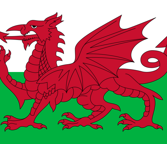 Saint David, of Wales