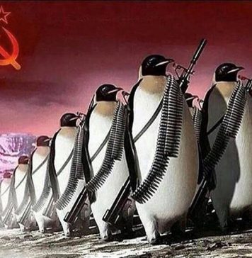 The Great Green Grift