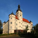 WW II, Euthanasia and a Neo-Dachau