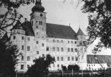 Compassionate Killing: Lessons Learned From Nurses in the Nazi Era