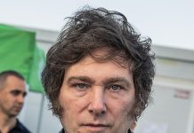 The Phenomenon of Javier Milei in Context